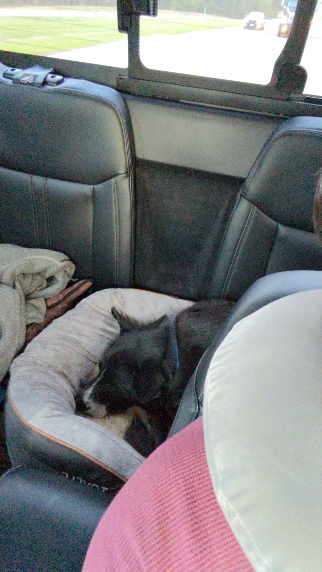 DIY Scab Rear Seat Delete/Dog Backseat Addition | 2019+ Ford Ranger and ...