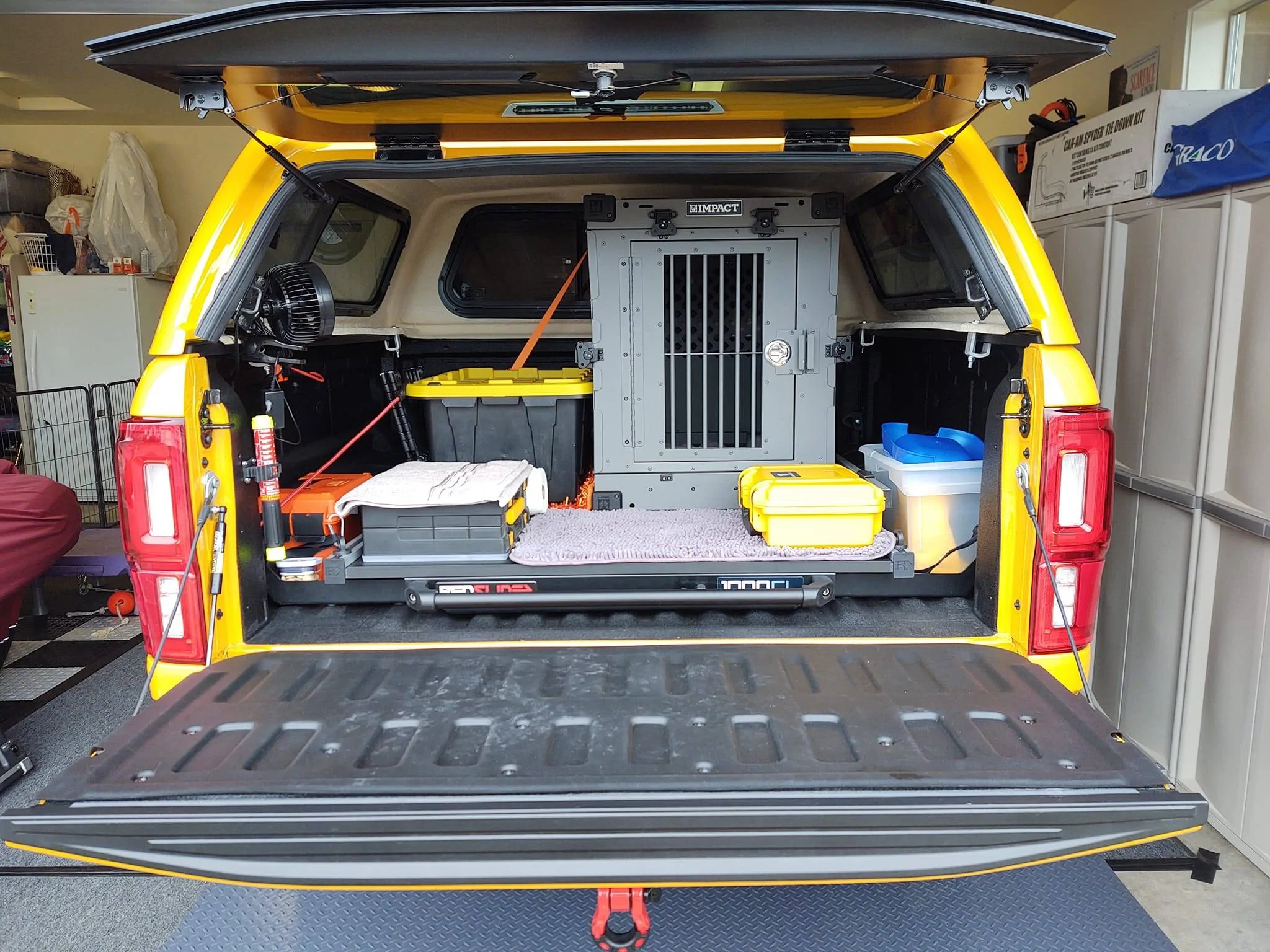 My Dog's happy place. | 2019+ Ford Ranger and Raptor Forum (5th ...