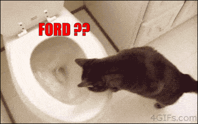 Ford Toilet 3.gif