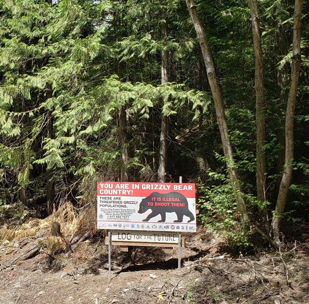 Grizzly Sign Blackwater River Rd_e.jpg