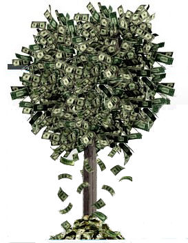 money-tree-351.jpg