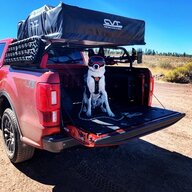 overland_dog