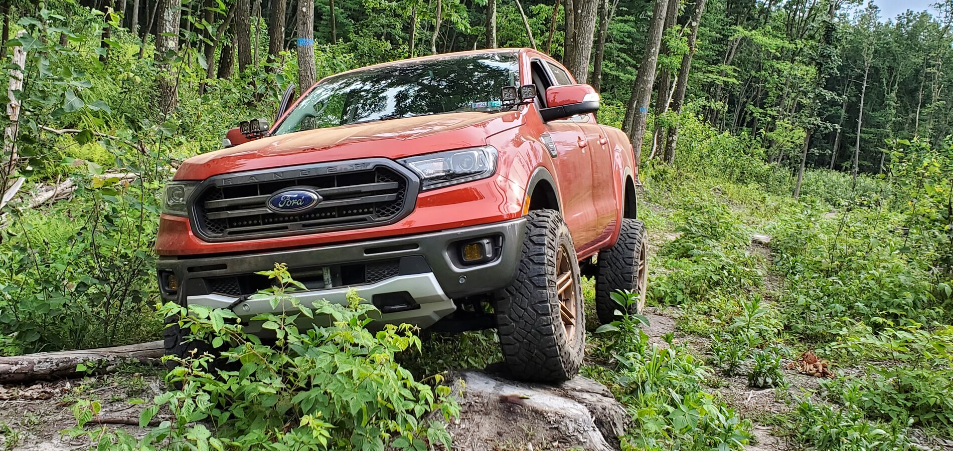 Ford Ranger Wildtrak addict